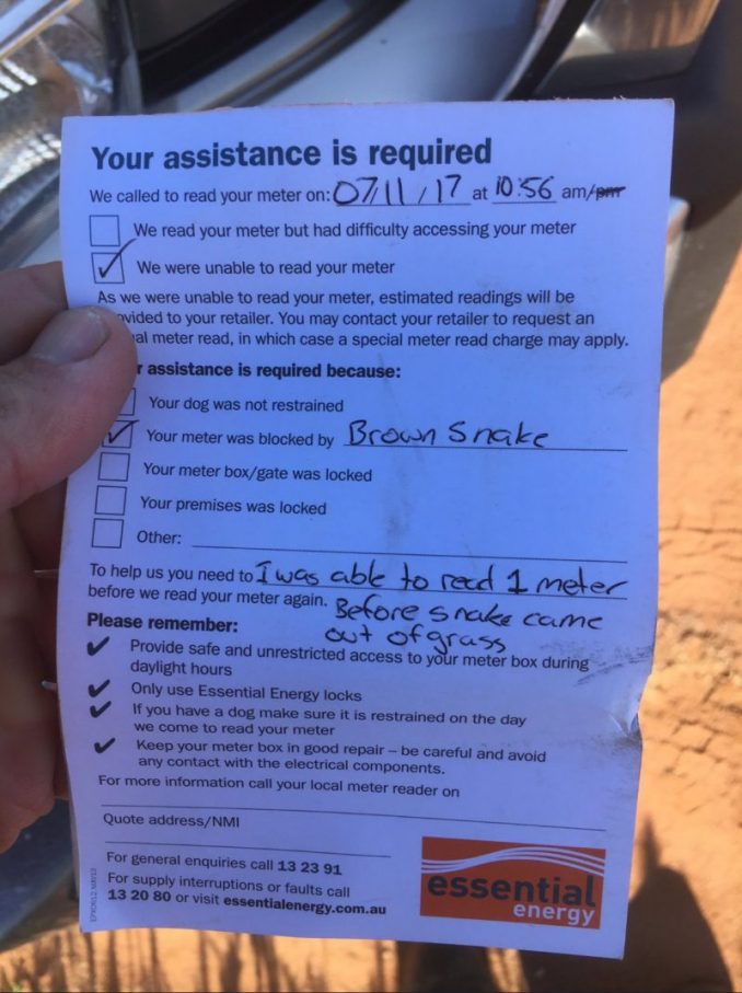 Meter Reader Leaves Terrifying Note About Snake At Man's Rural Property