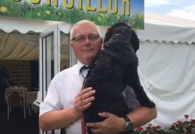 Paul Skinner Spots Dog's Emotional Moment On Side Of Road