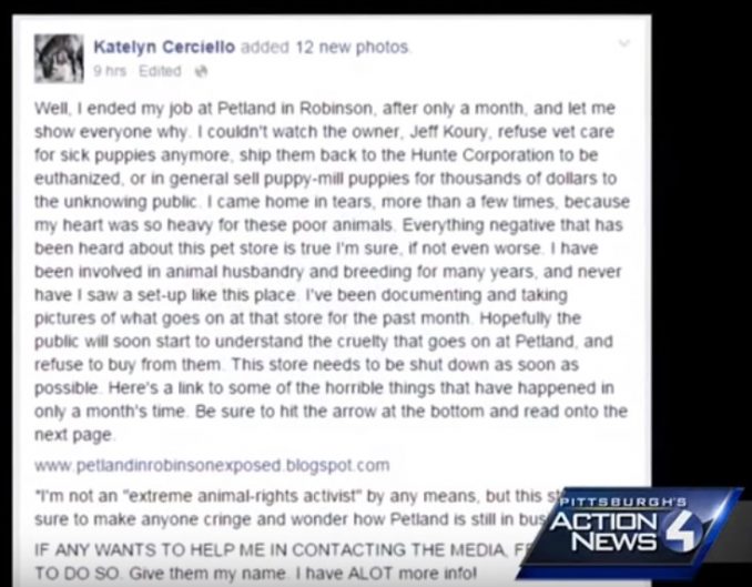 Petland Employee Katelyn Cerciello Exposes Cruel Treatment Of Animals