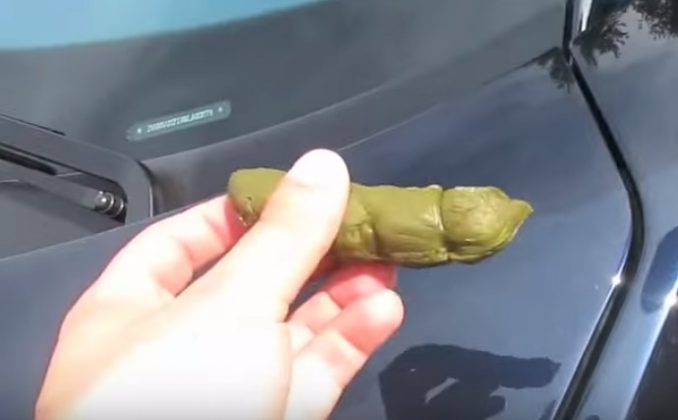 Lamborghini Owner Uses Taser On Pranksters Who Put Feces On His Car