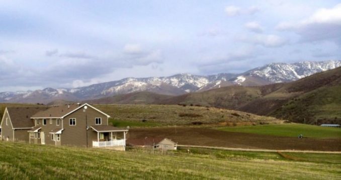 Strange Creature In Idaho Identified As A Mountain Lion