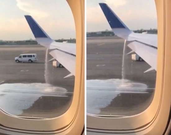 Newlyweds Save United Airlines Flight From Disaster, Get Terrible Thanks