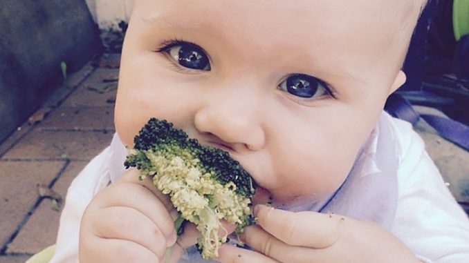 GraceBrocoli