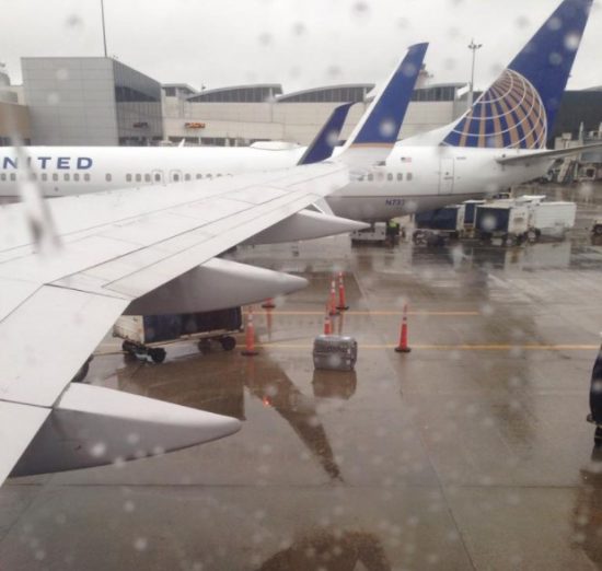 United Airlines Leaves Caged Dog In Pouring Rain For Half Hour