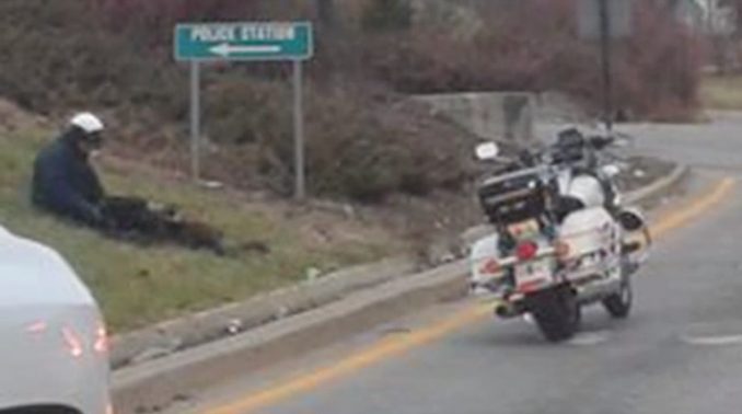 Debbie Davis Snaps Photo Of Cop Helping 2 Dogs On Side Of Road