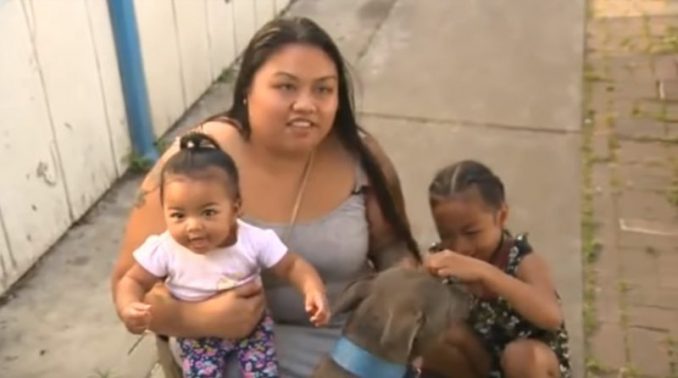 Nana Chaichanhda's Pit Bull Sasha Saves Family From Fire