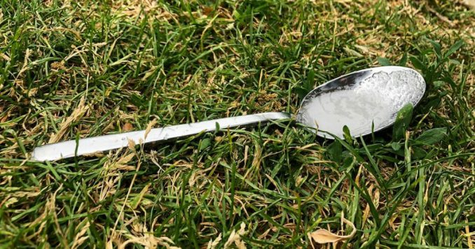 You Should Put A Spoon Of Sugar In Your Yard Before Leaving Home — Here's Why