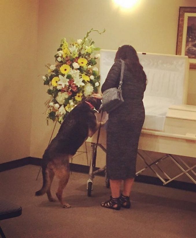 Andy Beaulieu: Dog Looks Into Owners Casket, Wife Makes Revelation