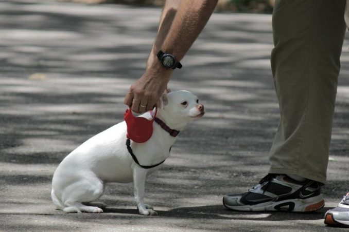 Kevin Jackman: Dog Gets Hit By Car, Puts Up Bold Sign