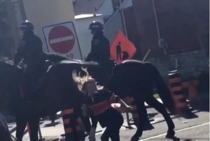 College Girl Runs Up & Smacks Police Horse, Receives Painful Justice