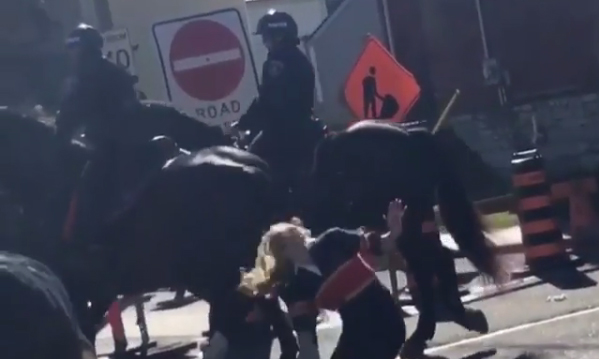 College Girl Runs Up & Smacks Police Horse, Receives Painful Justice