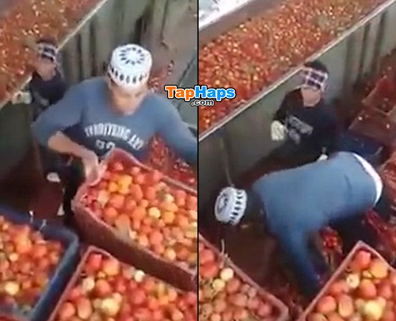 Video Shows Egypt Factory Making Ketchup, Heinz Does Damage Control