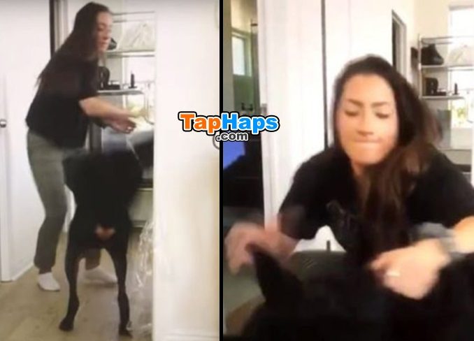 Brooke Houts YouTuber Accidentally Uploads Remarkably Grotesque Video With Dog