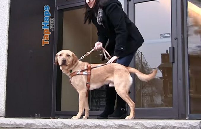 Gabriele Jandrasits Taxi Driver Leaves Blind Woman On Roadside For Reasons Of Faith